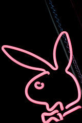 Pink Neon Bunny Pink Neon Bunny